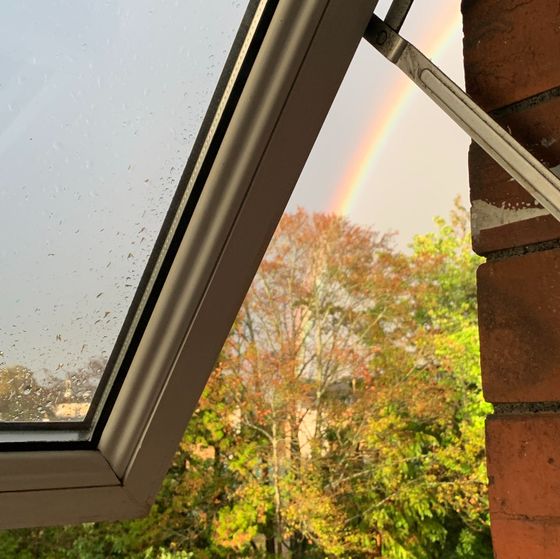 Window Rainbow